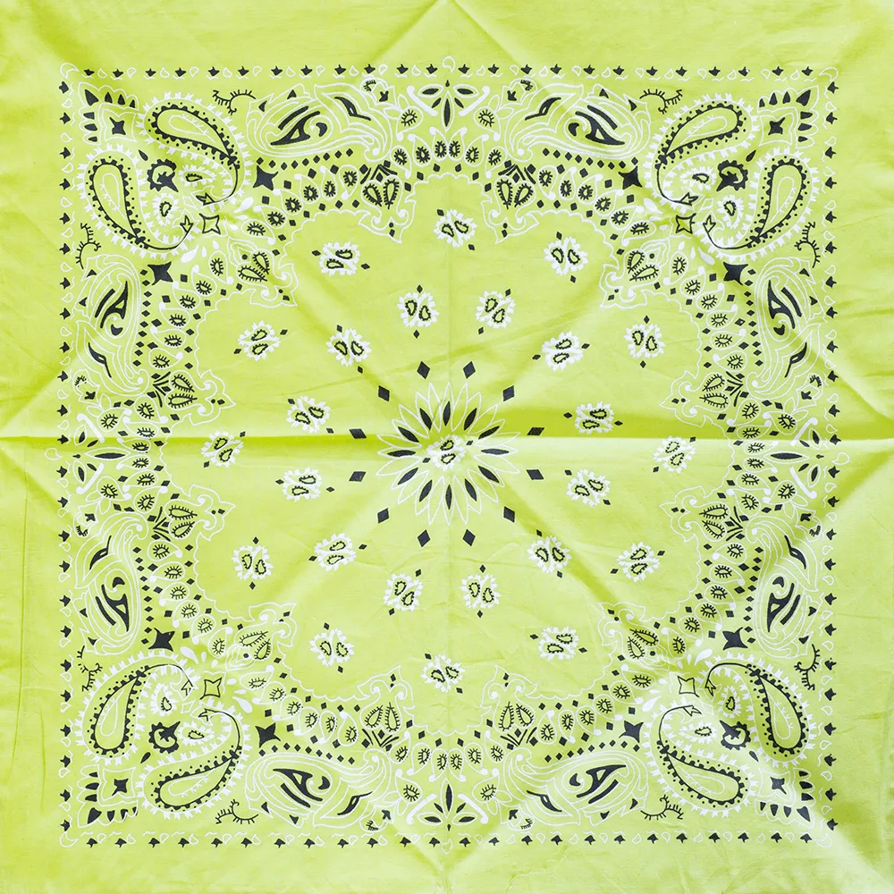 Green Paisley